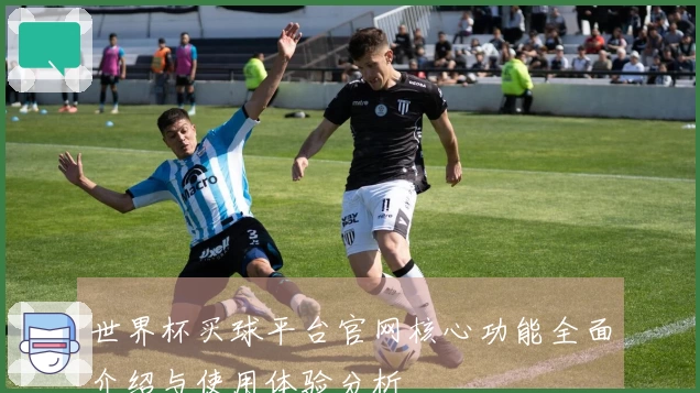 世界杯买球平台官网核心功能全面介绍与使用体验分析