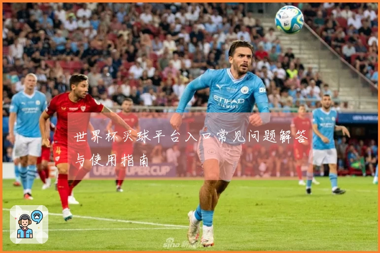世界杯买球平台入口常见问题解答与使用指南