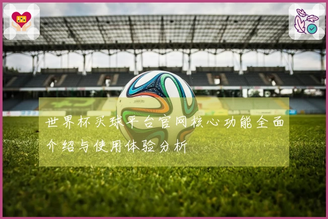 世界杯买球平台官网核心功能全面介绍与使用体验分析