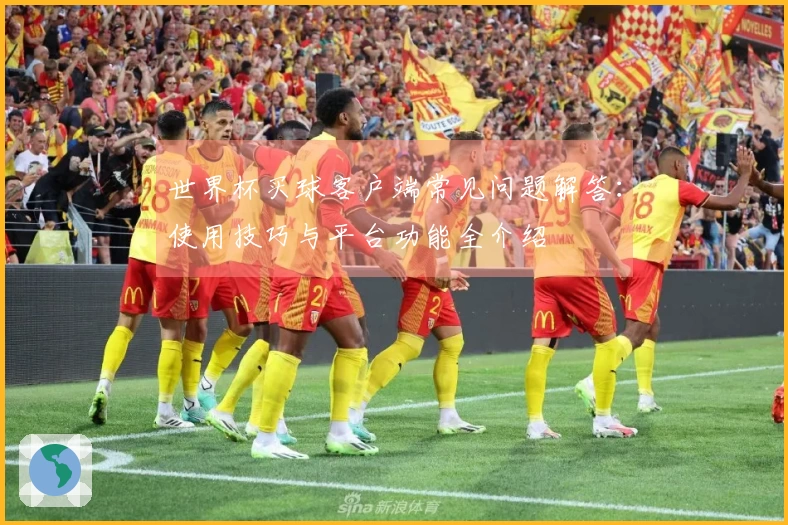 世界杯买球客户端常见问题解答：使用技巧与平台功能全介绍