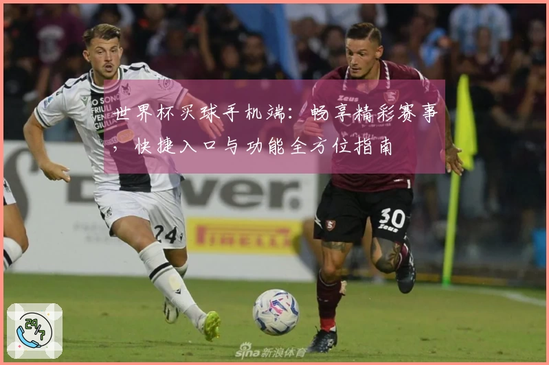 世界杯买球手机端：畅享精彩赛事，快捷入口与功能全方位指南