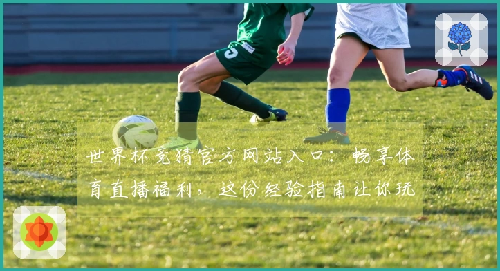 世界杯竞猜官方网站入口：畅享体育直播福利，这份经验指南让你玩转精彩体验