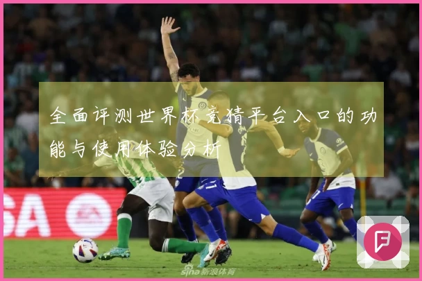 全面评测世界杯竞猜平台入口的功能与使用体验分析