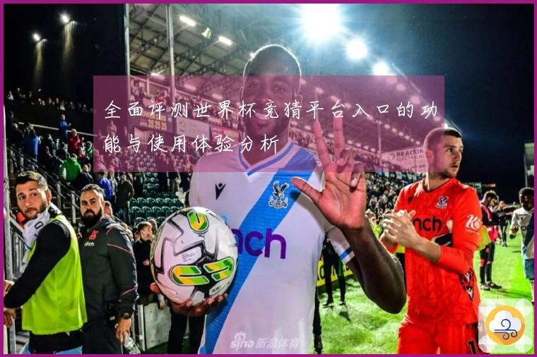 全面评测世界杯竞猜平台入口的功能与使用体验分析